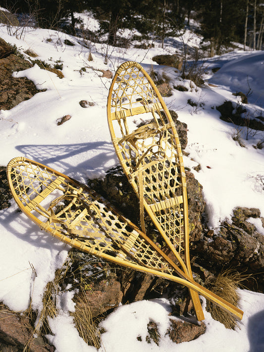 Winter Snowshoes