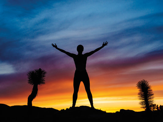 Joshua Tree Joy