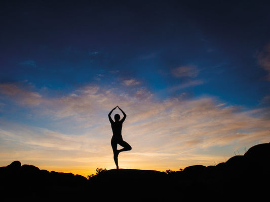 Joshua Tree Figure