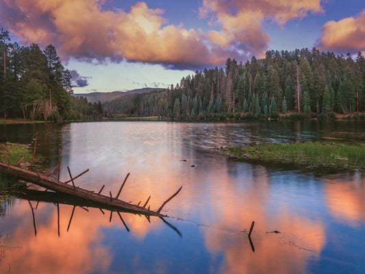 Evergreen Lake Arizona