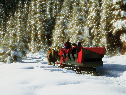 Banff Sleigh Ride