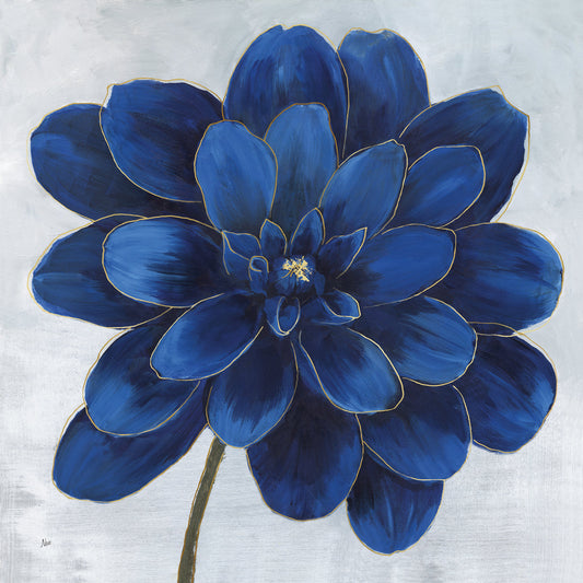 Indigo Dahlia