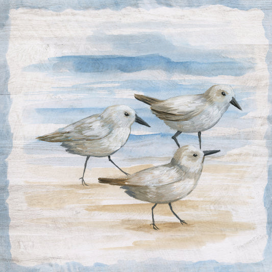 Shore Birds I