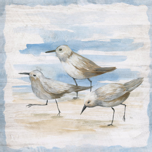 Shore Birds II