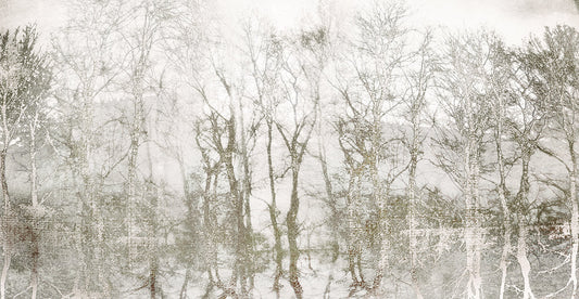 Shimmering Trees