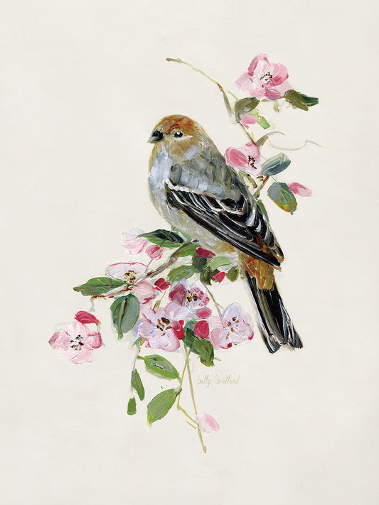 Spring Song Goldfinch