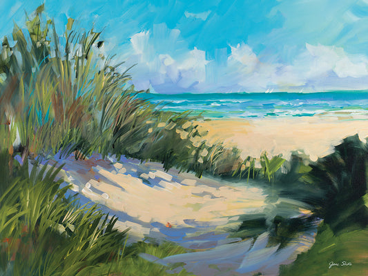 Beach Dunes