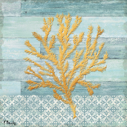 Clearwater Coral III