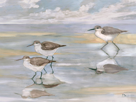 Sunlight Reflections - Three Sandpipers