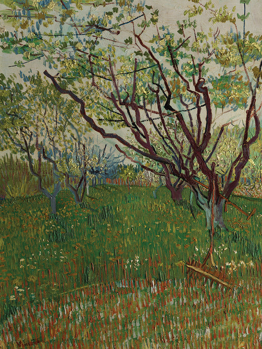 The Flowering Orchard (1888)