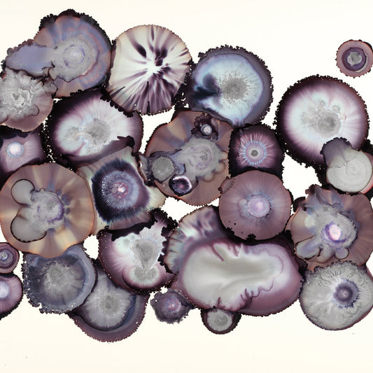 Eggplant