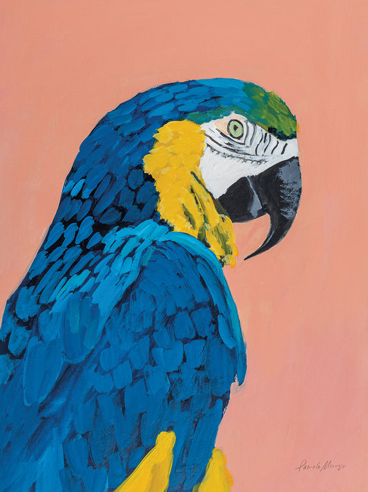 Blue and Gold Macaw