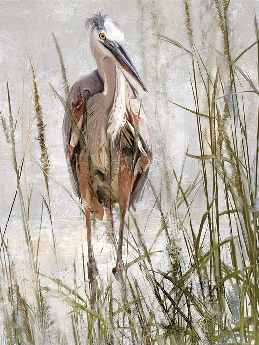 Blue Heron Portrait