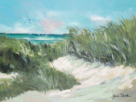 Beach Coast Grass