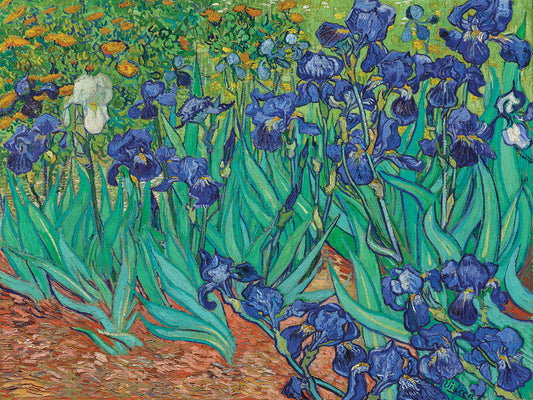 Irises (1889)