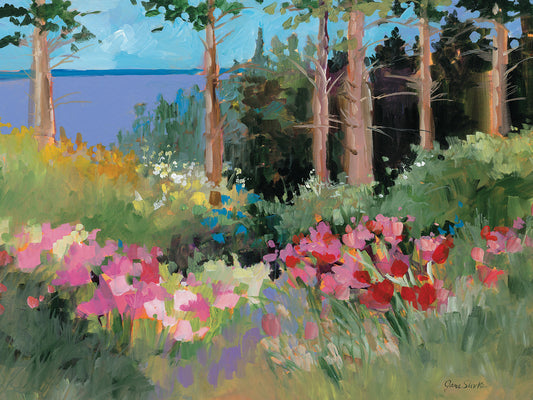 Northern Summer