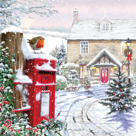 Robin On Postbox