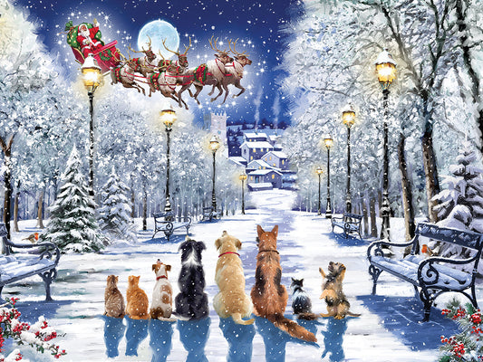 Watching The Sleigh