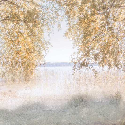 Friendly Lake