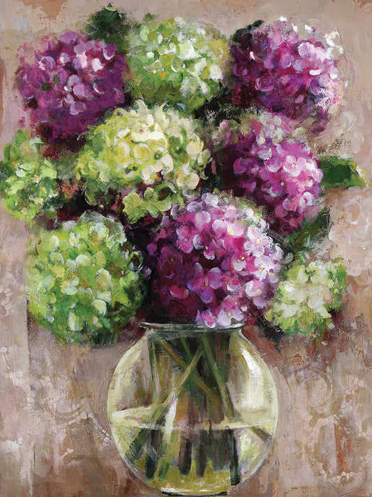 Hydrangea Study