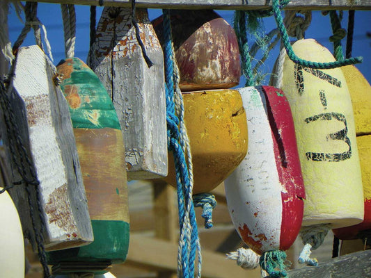 Buoys Close Up 18X24