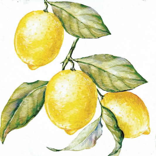 Lemon Branch 24x24