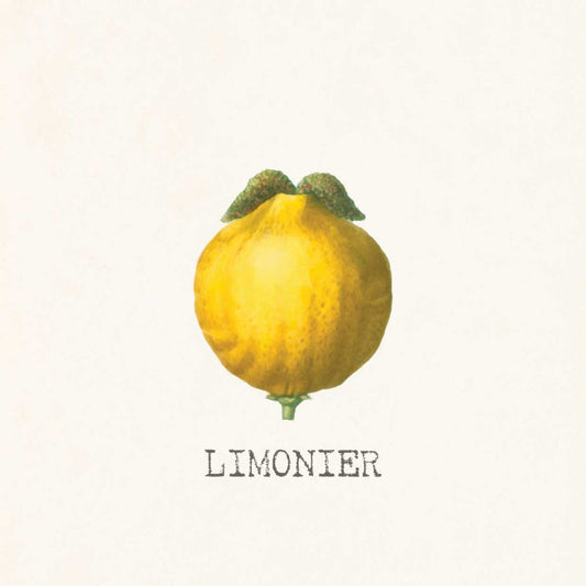 Limonier 24x24