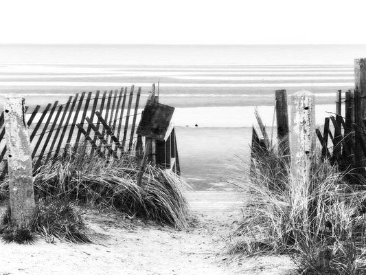 Descend to Tranquility Black and White 24x36