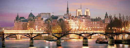 Paris No. 501