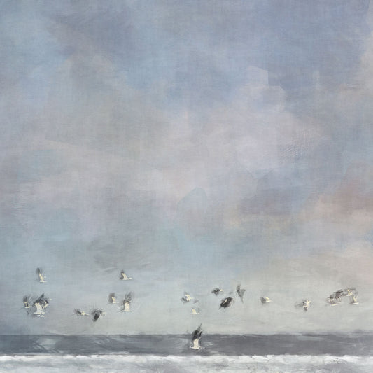 Birds passing
