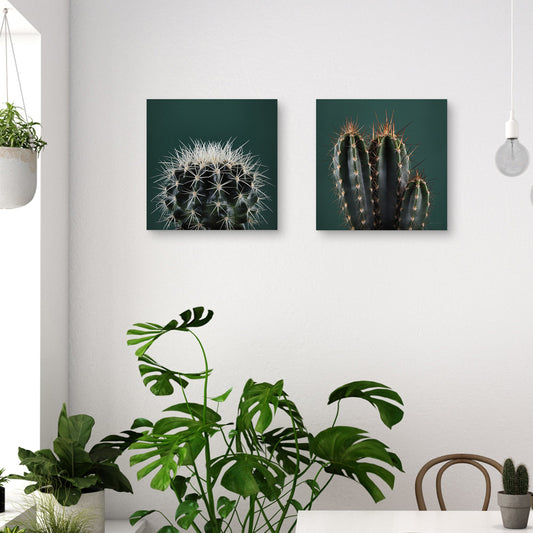 Cacti II & III